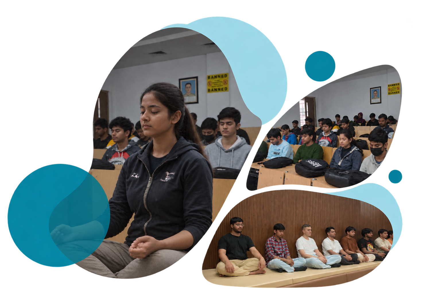 Participant experiences during meditation and studies